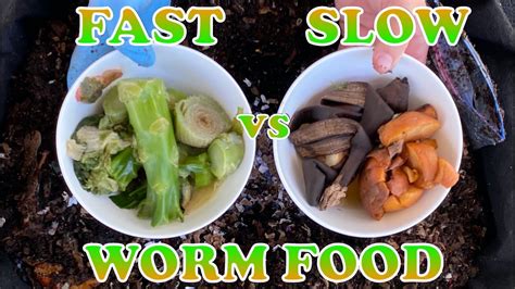 Nagic worm food